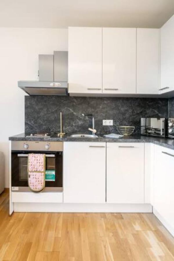 Near Lake Fully Furnished Beautiful Apartment Vienna Exterior photo